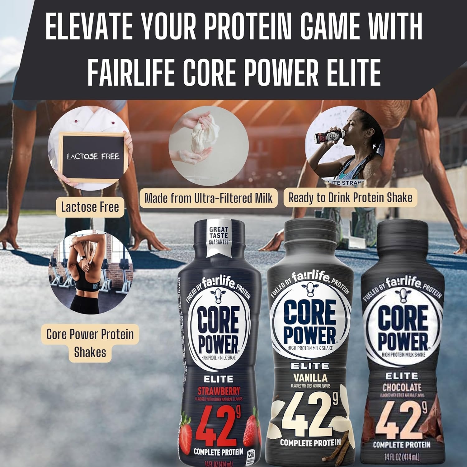 Fairlife Core Power Elite 42g High Protein Milkshake - Chocolate, Strawberry, Vanilla - Ready to Drink - 14 Fl Oz (Pack of 12)
