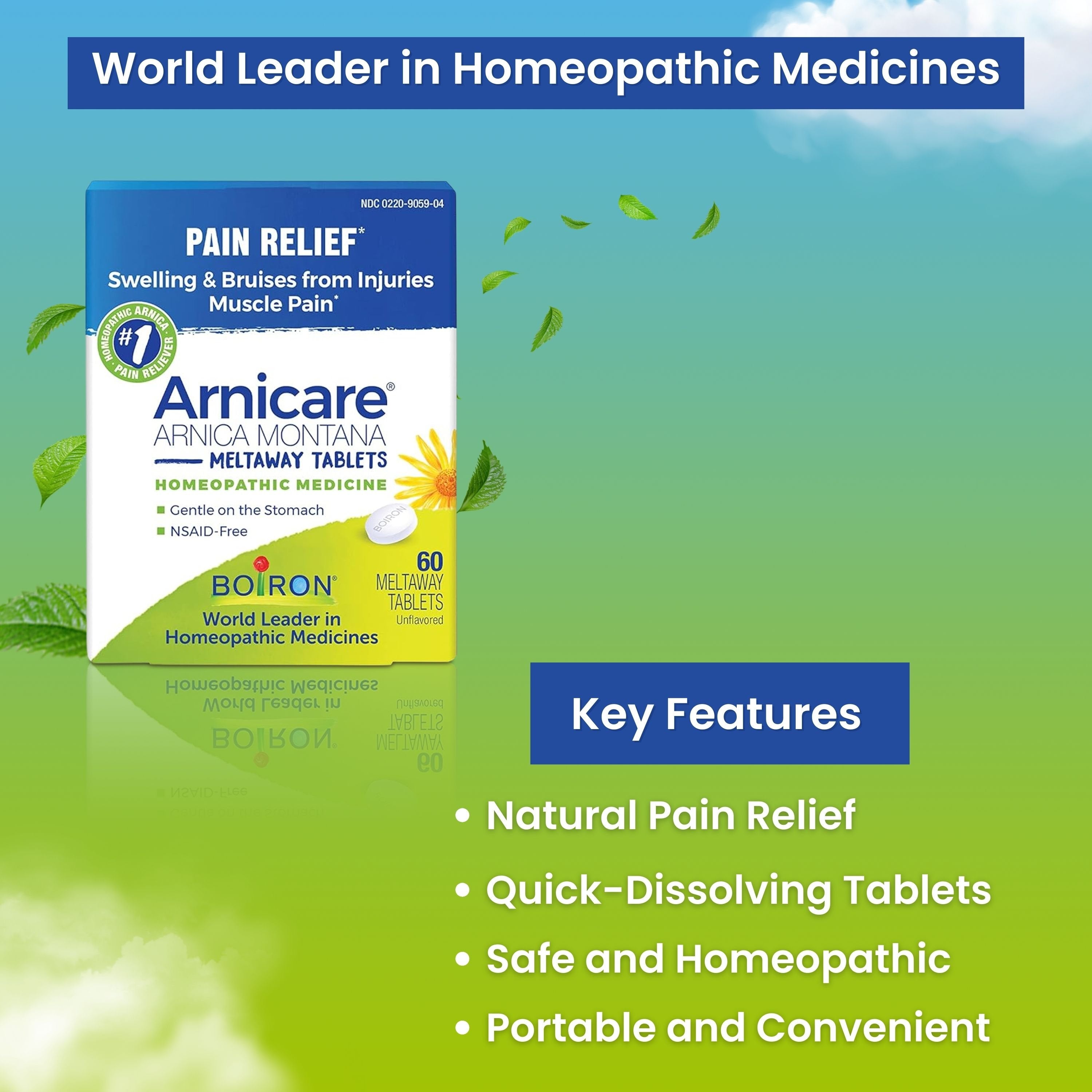 Boiron Arnicare Arnica Montana Meltaway Tablets - Swelling Reducer - Bruise Remedy - Muscle Pain Reliever - 60 Unflavored Tablets with Multi-Purpose Keychain