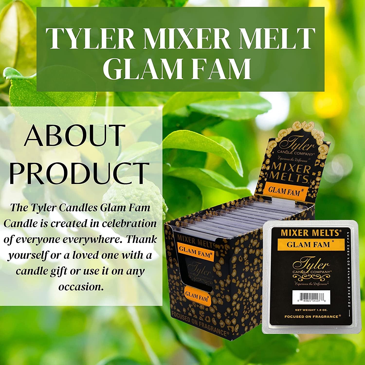 Tyler Candle Company Glam Fam Scent Wax Melts - Soy Wax Scented Mixer Melts with Essential Oils for Wax Warmer - Box of 14, 6 Bars per Melt Multi Purpose Key Chain
