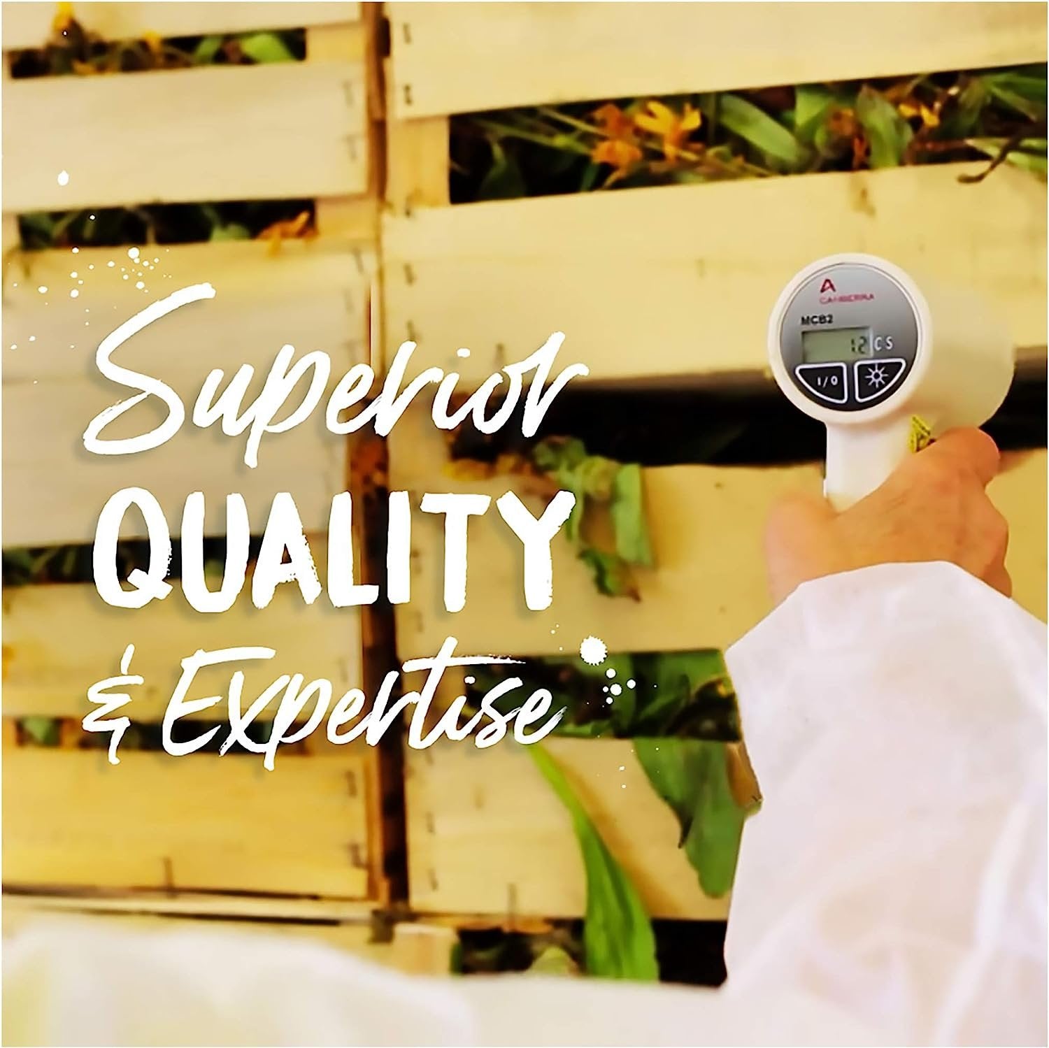 Boiron Carbo Vegetabilis 30c Homeopathic Medicine for Abdominal Bloating with Gas - Pack of 3 (240 Pellets)