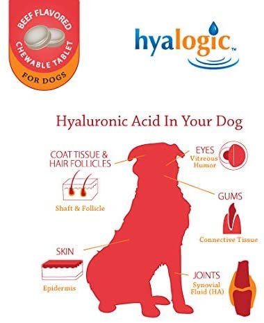 Hyalogic HyaFlex Pro Advanced - 30 Beef-Flavored Wafers - A Dog Joint Supplement with Hyaluronic Acid, Glucosamine, MSM & Cynatine - Supports Canine Hips, Cartilage, and Flexibility