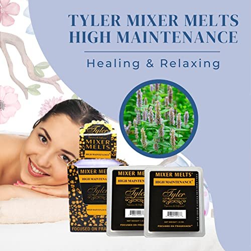 Worldwide Nutrition Tyler Candle Company High Maintenance Scent Wax Melts - Soy Wax Scented Mixer Melts with Essential Oils for Wax Warmer - Box of 14, 6 Bars per Melt Multi Purpose Key Chain