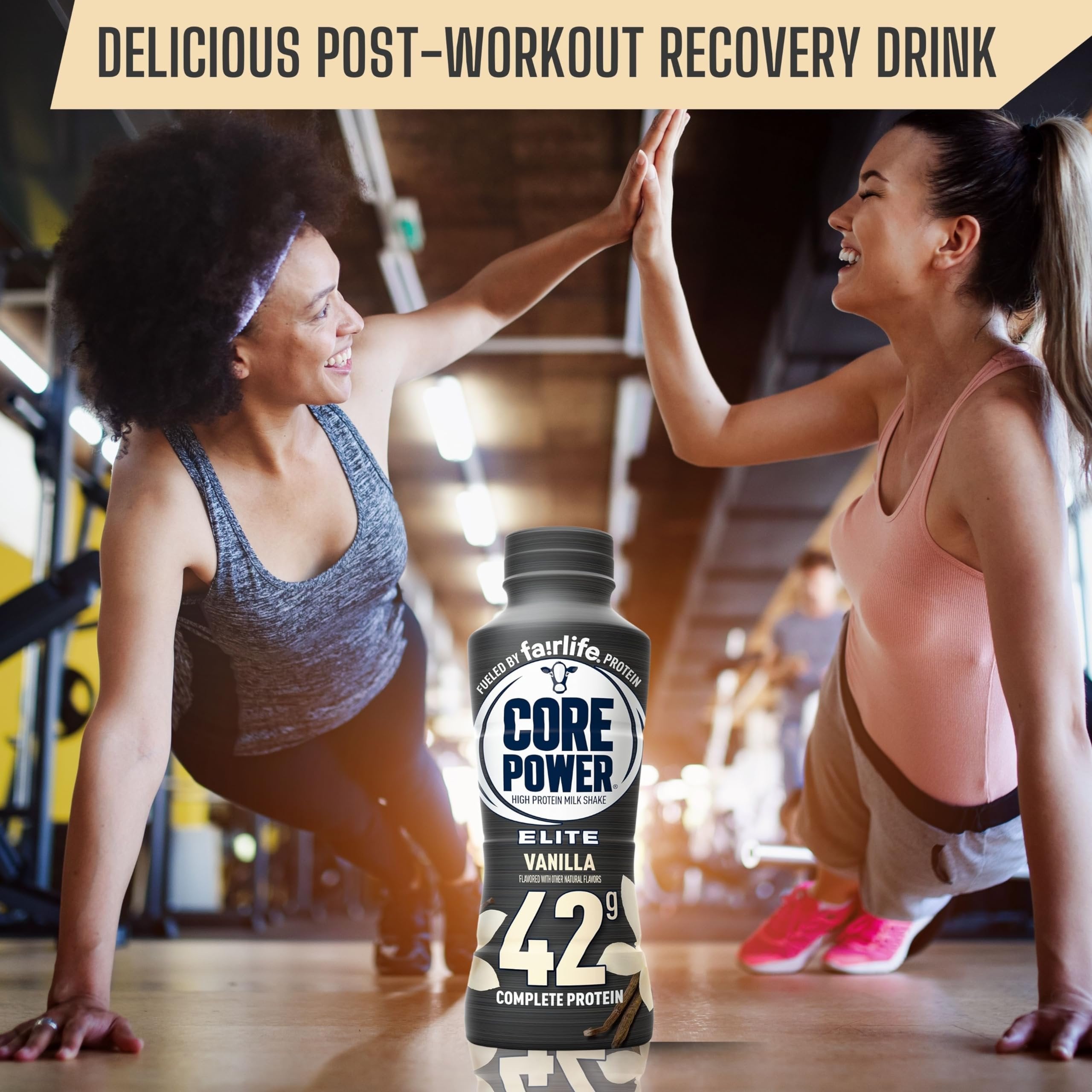 Fairlife Core Power 42g Complete Protein Elite Vanilla Milk Shake Drink for Workout Recovery - Kosher - 14 oz (12 Pack) with Keychain