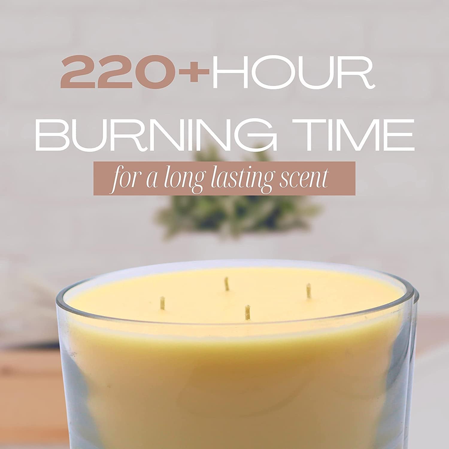 Tyler Candle Company 40 oz Mulled Cider Scented Candle | 4 Wick Large Candle | 220 Hr Burn | Decorative Candles | Home Decor Gift for Women & Men w Worldwide Nutrition Multi Purpose Key Chain