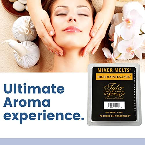 Worldwide Nutrition Tyler Candle Company High Maintenance Scent Wax Melts - Soy Wax Scented Mixer Melts with Essential Oils for Wax Warmer - Box of 14, 6 Bars per Melt Multi Purpose Key Chain