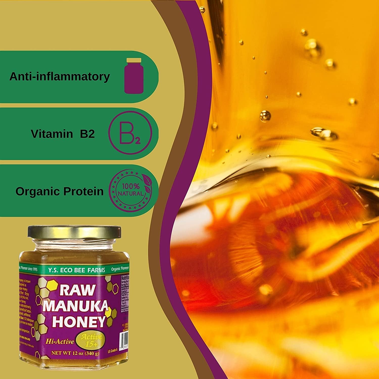 Y.S. Eco Bee Farms, 100% Certified Raw Manuka Honey, Hi-Active 15plus, Unpasteurized, Unfiltered, Exotic, Raw, Kosher, Gluten Free, Wonder Honey Of The Tea Tree", 12 Oz, 1 Jar with Bonus Key Chain