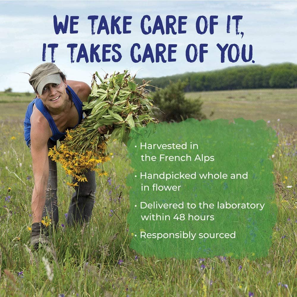 Boiron Arnicare Cream 4.2 Ounce (Pack of 1) Homeopathic Medicine for Pain Relief