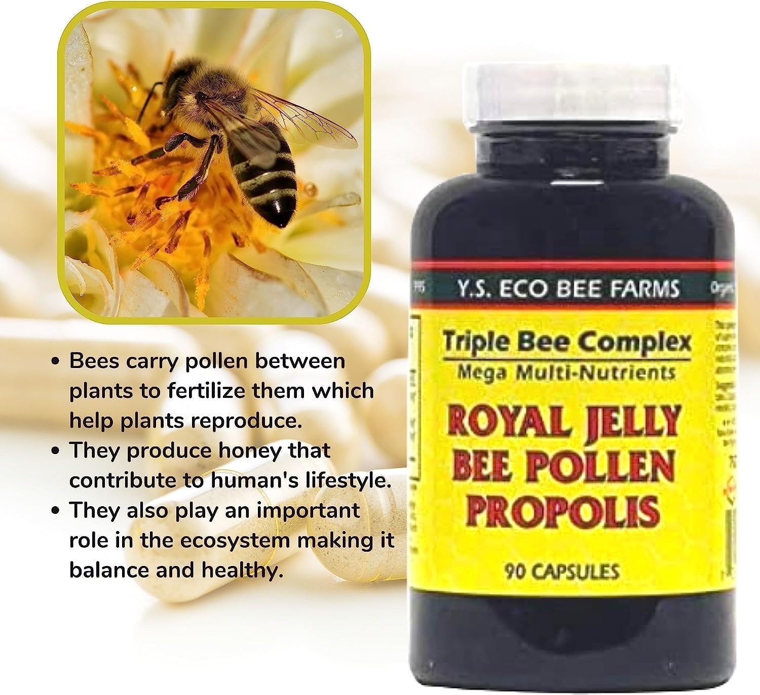 Y.S. Eco Bee Farms Triple Bee Complex Mega Multi-Nutrients - Royal Jelly, Bee Pollen, Propolis - 90 Capsules - with Multi-Purpose Key Chain