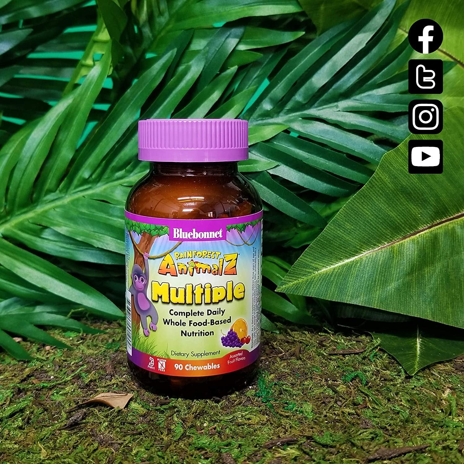 Bluebonnet Nutrition Rainforest Animalz Whole Food Based Multiple Chewable Tablet, Kids Multivitamin & Mineral, Vitamin C, D3, Iron, Gluten Free, Milk Free, Kosher, 180 Chewable Tablets, Mixed Flavor