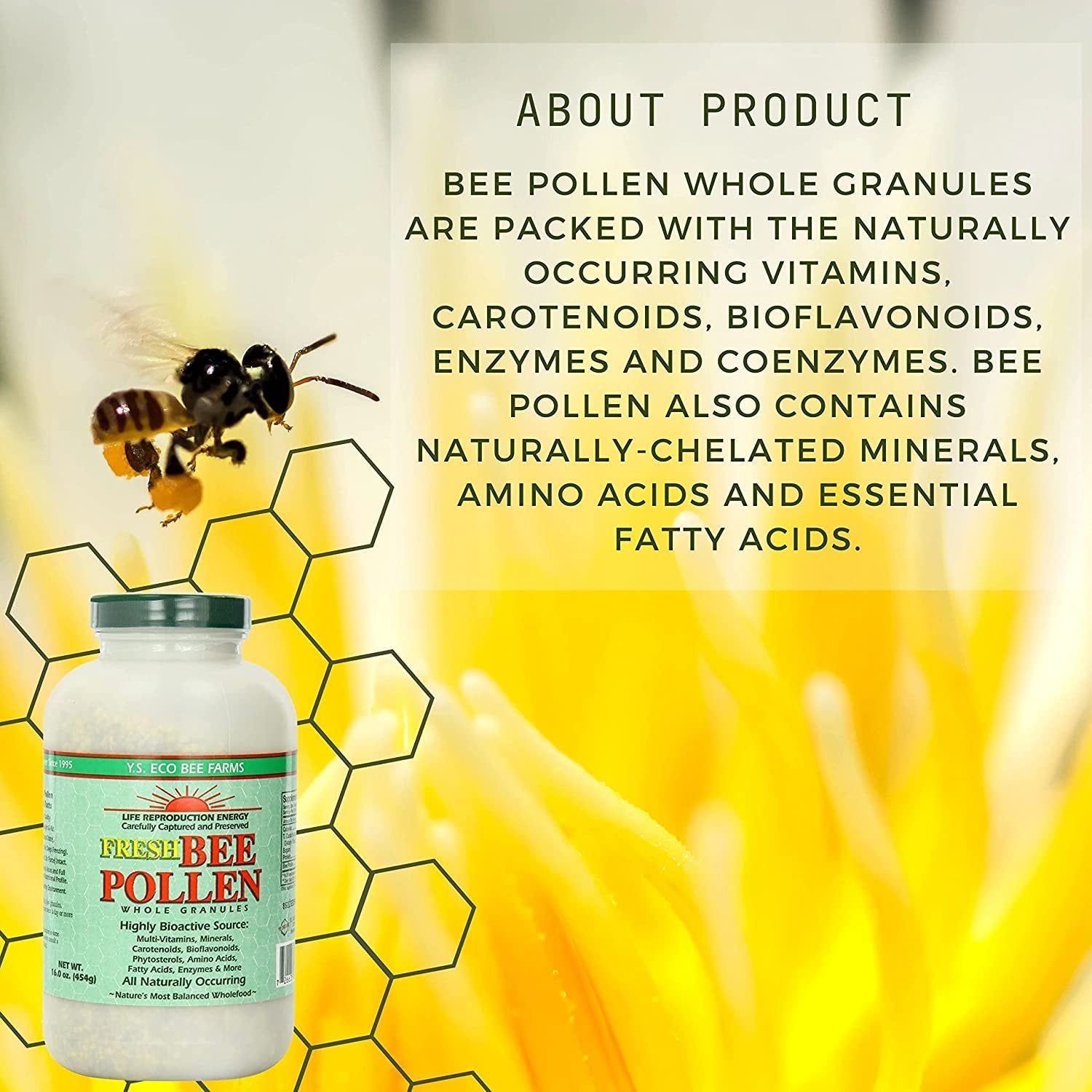 Y.S. Eco Bee Farms 100% Pure, Wild Crafted Bee Pollen Granules - Organic Bee Pollen Vitamin Supplements - Amino Acids, Organic Protein, Vitamin C, Vitamin B12 - Gluten Free - 16 oz w Bonus Key Chain