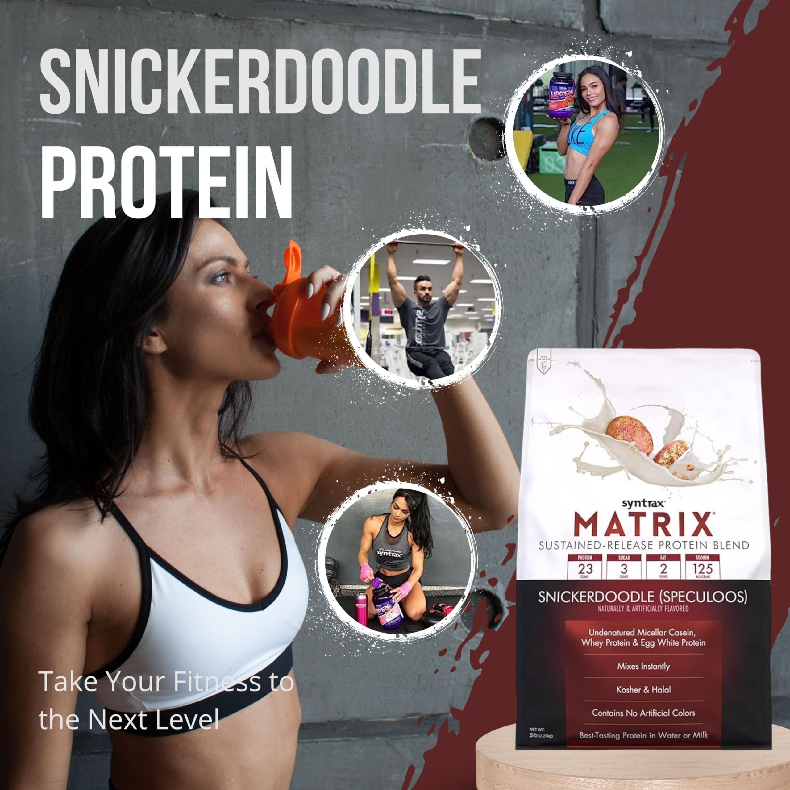 Syntrax Matrix Protein Powder Sustained-Release Casein Protein and Whey Protein Powder - Instant Mix Snickerdoodle Protein Powder Flavor, 5lbs - Pack of 1 with Keychain