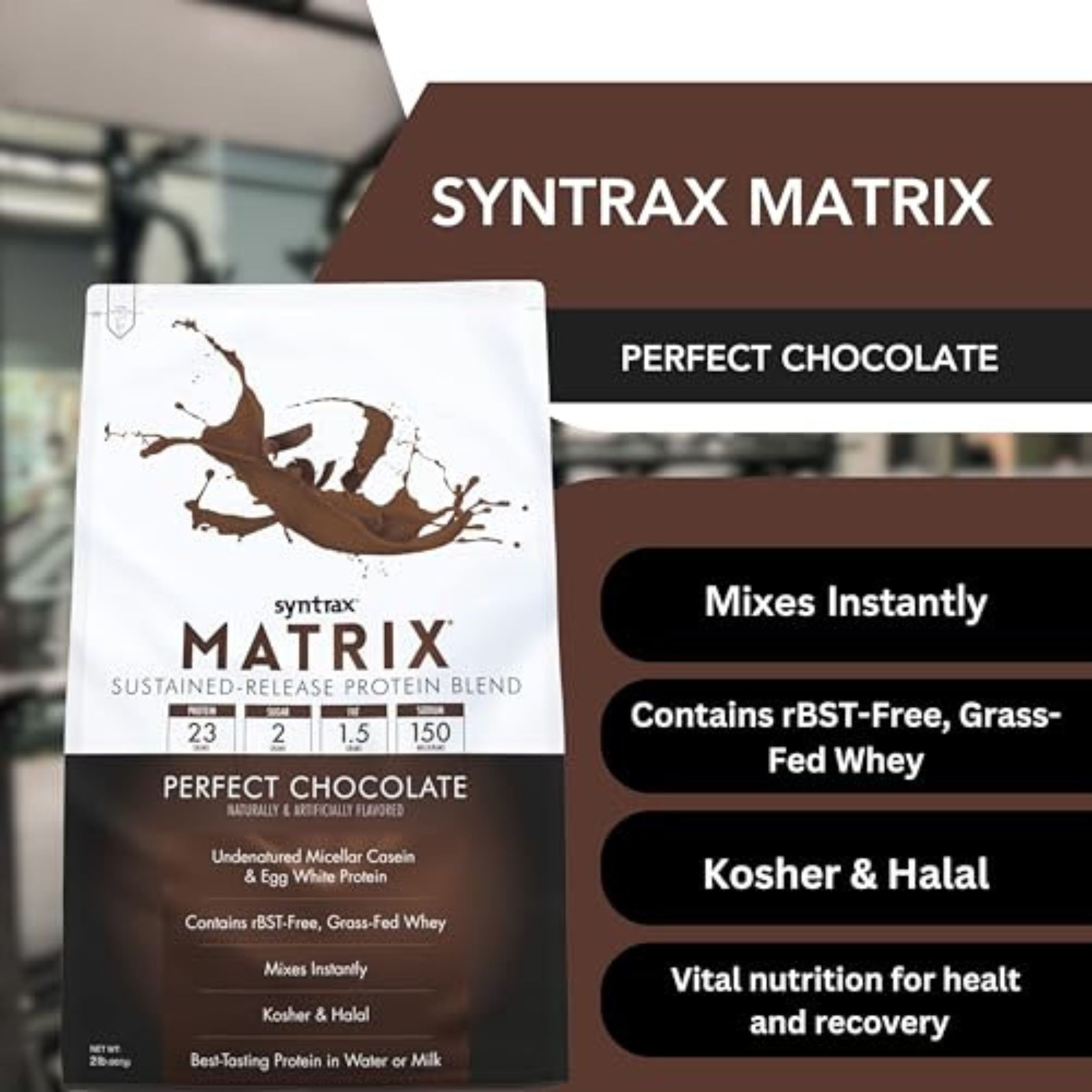 Syntrax Matrix Perfect Chocolate Whey Casein Blend Protein Powder - Instant Mix High Protein Powder 2lb Kosher and Halal Whey Protein with Worldwide Nutrition Keychain
