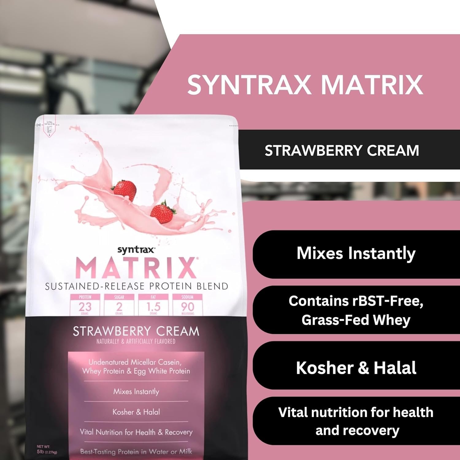 Syntrax Matrix - Sustained-Release Protein Powder Blend - Kosher & Halal - Muscle Support - Strawberry Cream - 5 lb - with  Multi-Purpose Keychain