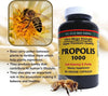 Y.S. Eco Bee Farms Propolis-Raw Unprocessed 1000mg - Your Gateway to Wellness - 90 Capsules with Bonus worldwidenutrition Multi Purpose Key Chain