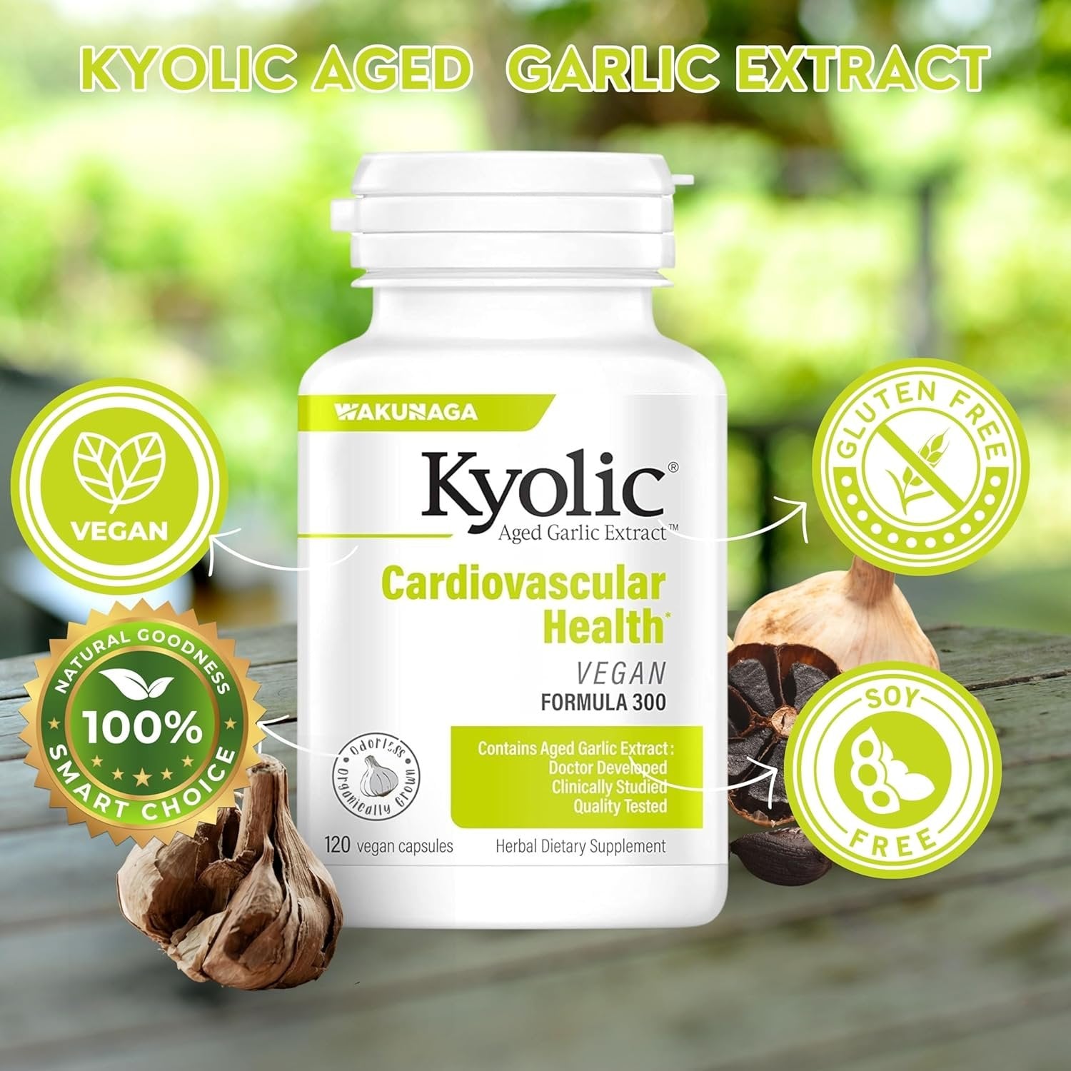 Kyolic Aged Garlic Extract Cardiovascular Health Vegan Formula 300 Vegan - Cardiovascular Health Support - 120 Capsules with Multi-Purpose Keychain