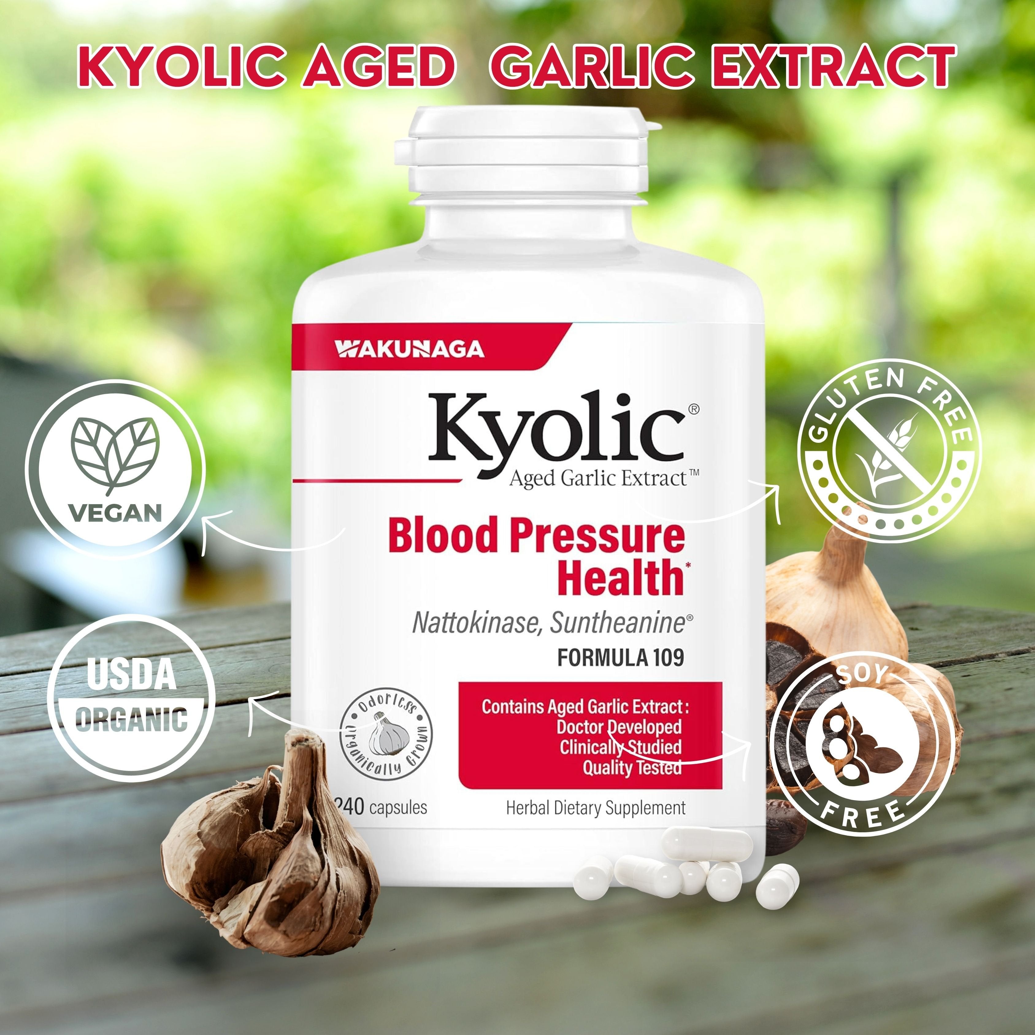 Kyolic Aged Garlic Extract Blood Pressure Health Formula 109 - 240 Capsules - Pack of 1 with Keychain