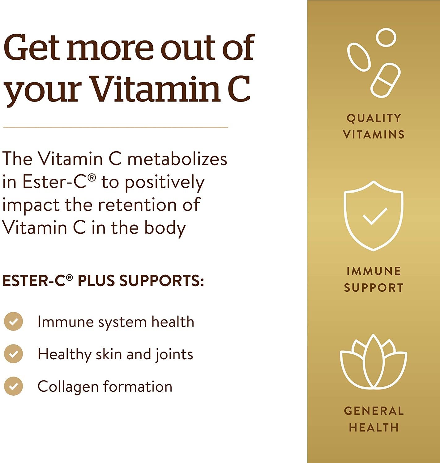 Solgar Ester-C Plus 500 mg Vitamin C (Ascorbate Complex) - Gentle & Non Acidic - Antioxidant & Immune Support - 100 Vegetable Capsules (100 Servings)