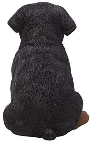 Pacific Giftware PT Realistic Look Black and Tan Rottweiler Puppy Dog Home Decorative Resin Figurine