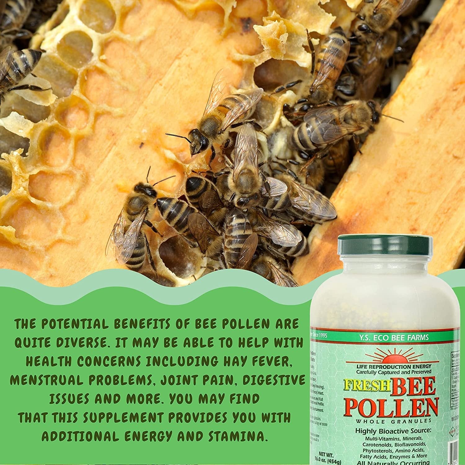 Y.S. Eco Bee Farms 100% Pure, Wild Crafted Bee Pollen Granules - Organic Bee Pollen Vitamin Supplements - Amino Acids, Organic Protein, Vitamin C, Vitamin B12 - Gluten Free - 16 oz w Bonus Key Chain