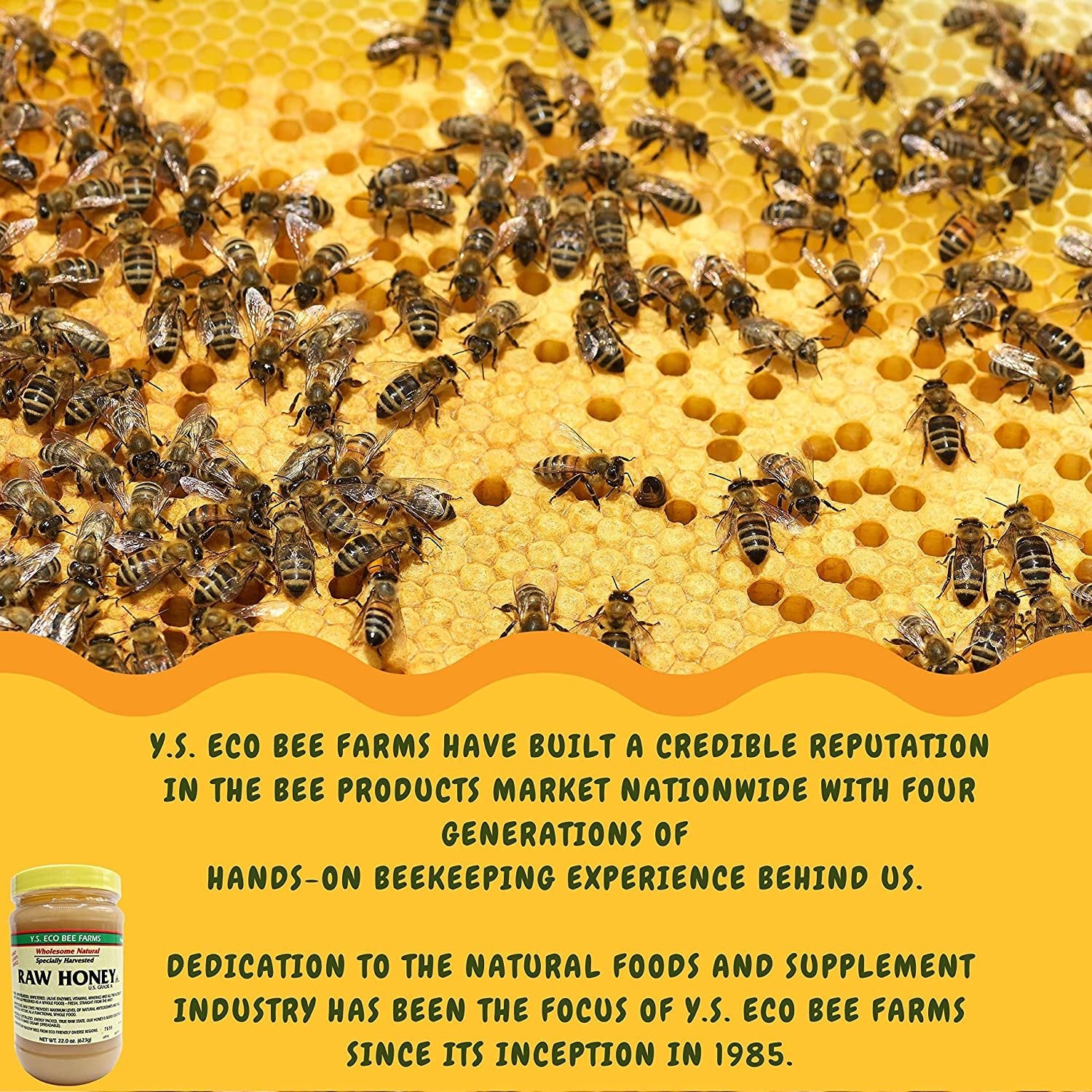 Y.S. Eco Bee Farms, Y.S. Organic Bee Farms, Wholesome Natural Raw Honey, Unpasteurized, Unfiltered, Fresh Raw State, Kosher, Pure, Natural, Healthy, Safe, Gluten Free, Specially Harvested, 22oz - 6pk