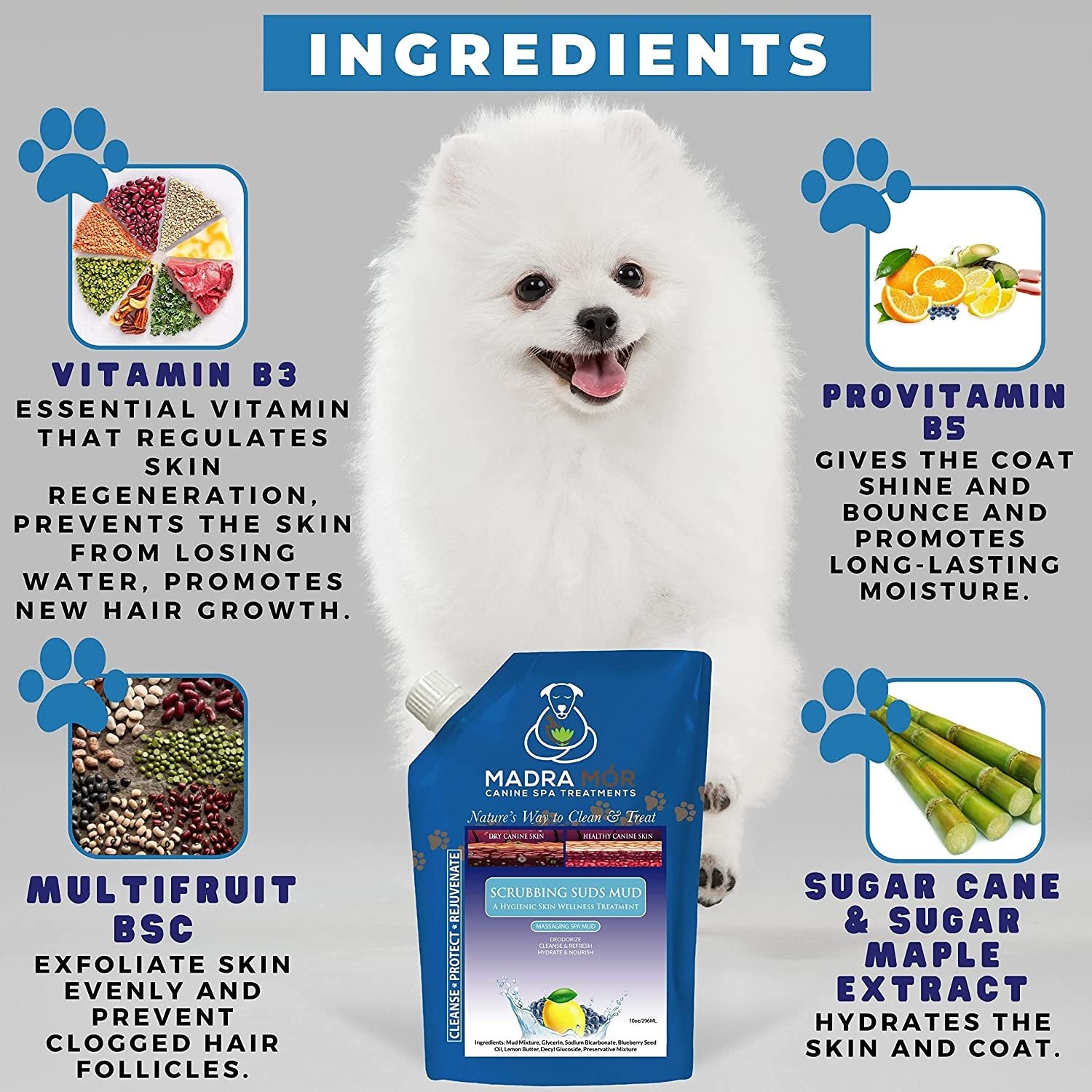 Madra Mor Massaging SPA Mud - Luxurious Dog Skin Wellness Treatment - Cleanse - Protect - Rejuvenate - Scrubbing Suds Mud- 1 Pack (10oz) - with Multi-Purpose Key Chain