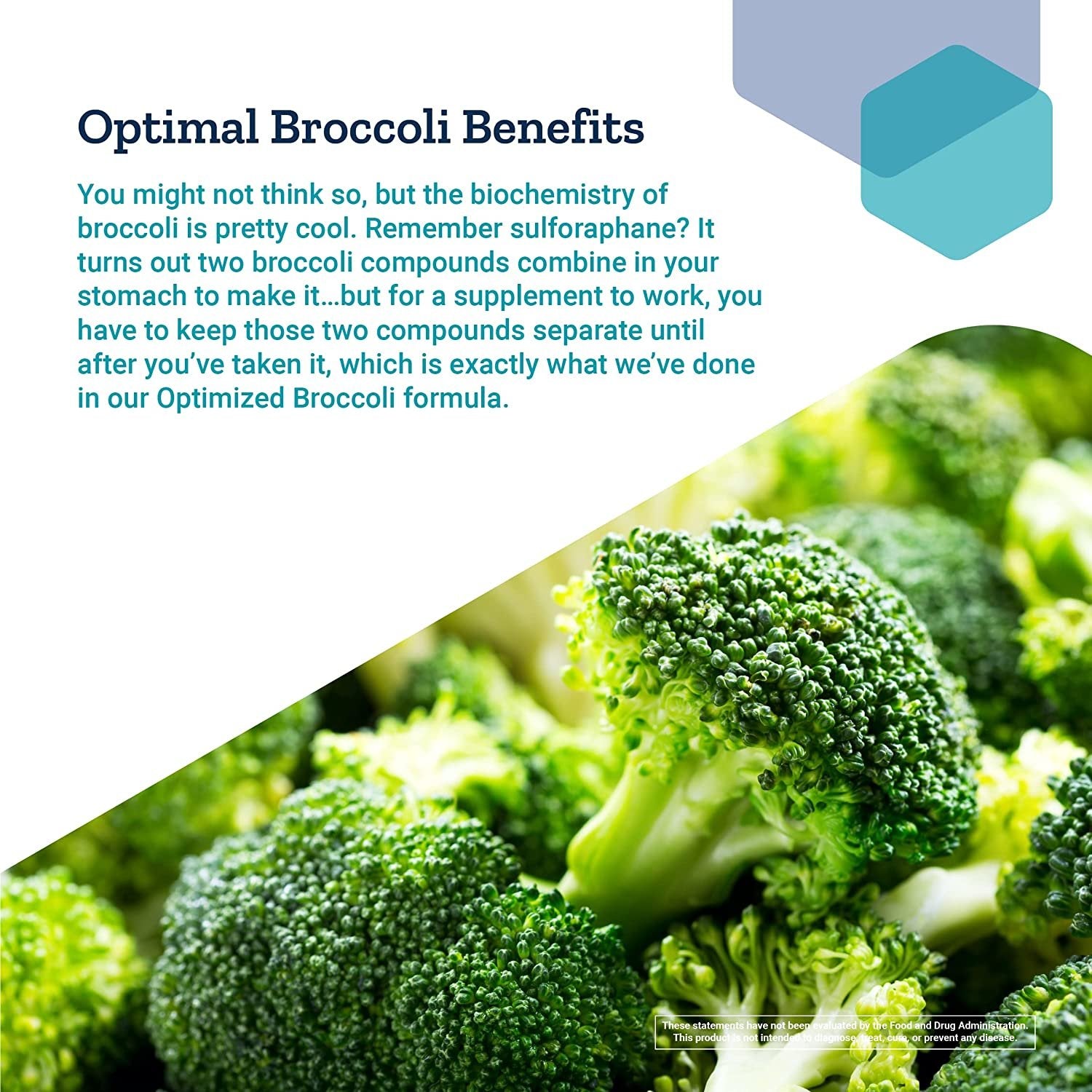 Life Extension Optimized Broccoli & Cruciferous Blend – Broccoli Seed, Rosemary, Cabbage Extract Green Vegetable Food Supplement Pills - Gluten-Free, Non-GMO, Vegetarian – 30 Tablets