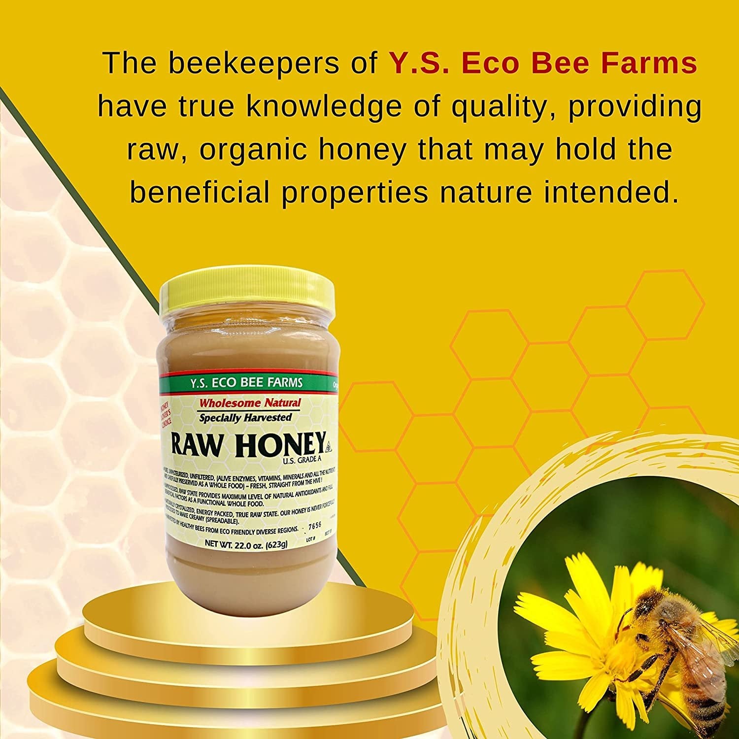 Y.S. Eco Bee Farms, Y.S. Organic Bee Farms, Wholesome Natural Raw Honey, Unpasteurized, Unfiltered, Fresh Raw State, Kosher, Pure, Natural, Healthy, Safe, Gluten Free, Specially Harvested, 22oz - 6pk