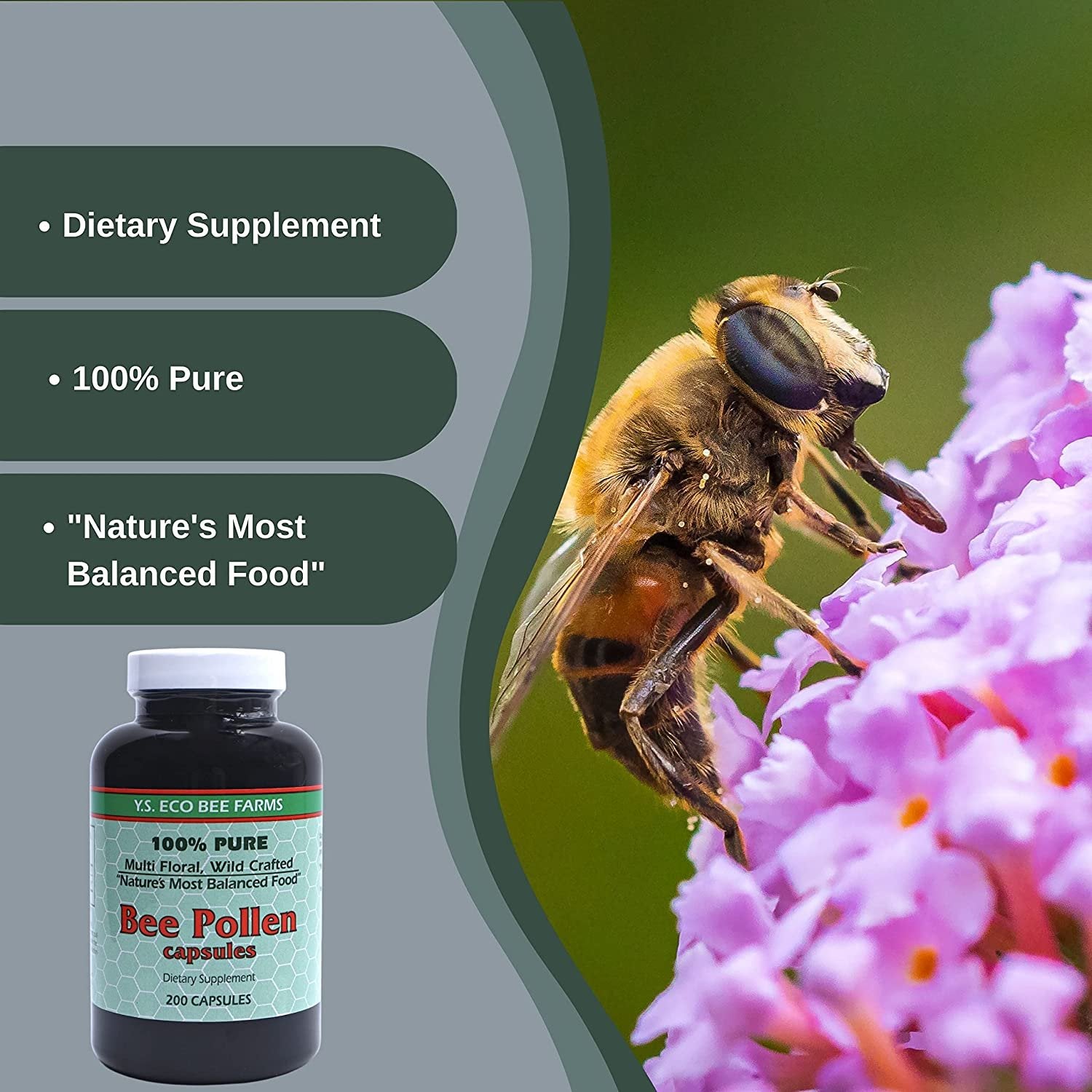 Y.S. Eco Bee Farms 100% Pure, Wild Crafted Bee Pollen Capsules - Organic Bee Pollen Vitamin Supplements Amino Acids, Organic Protein, Vitamin C, Vitamin B12 Gluten Free - 200ct with Bonus Key Chain