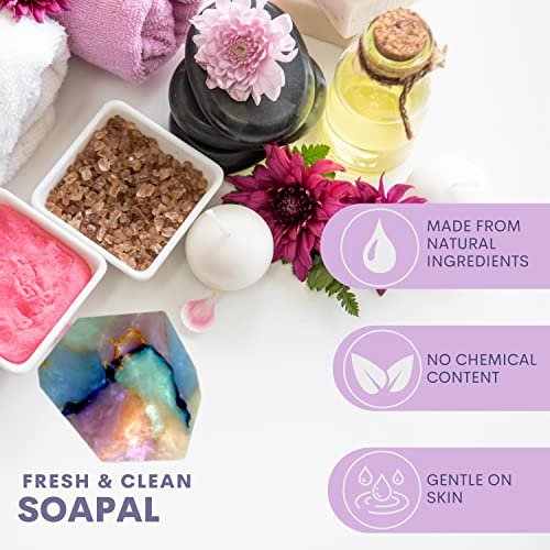 TS Pink Soapal SoapRocks - Bar Soap for Bath, Body, Face & Hand soap - Bathroom Decor & Bubble Bath Home Essentials - Bathroom Soap Gifts for Women & Men Gift Set - 6oz Bar with Bonus Key Chain