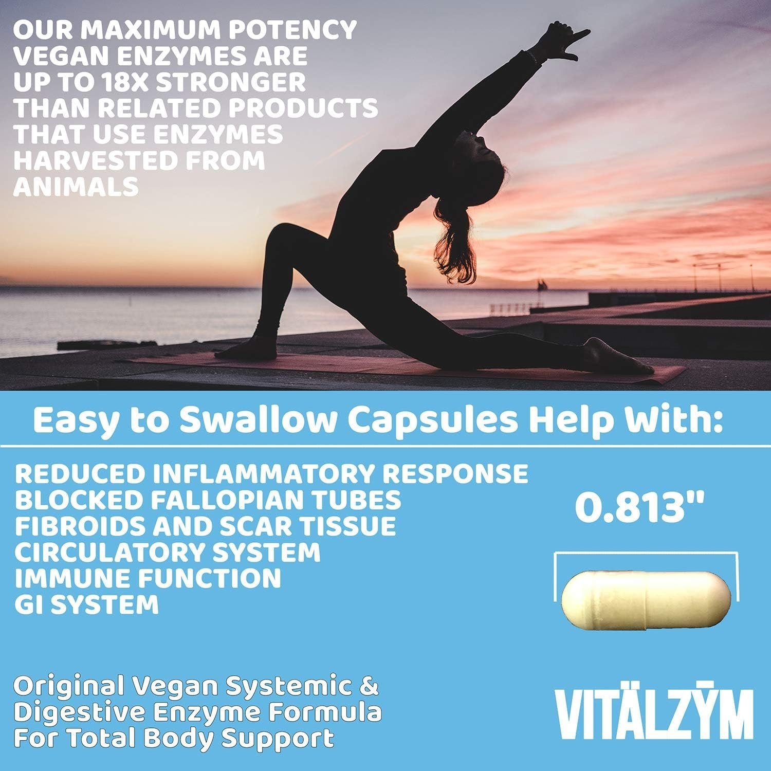 VITÄLZYM Original Proteolytic Systemic Digestive Enzyme Formula Serrapeptase Source | Immune and Joint Support Increase Blood Flow Cardio Function | Healthy Men Women (450 Capsules)
