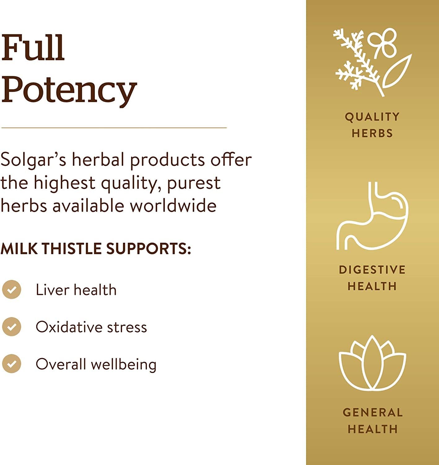 Solgar - Full Potency Milk Thistle, 250 Vegetable Capsules