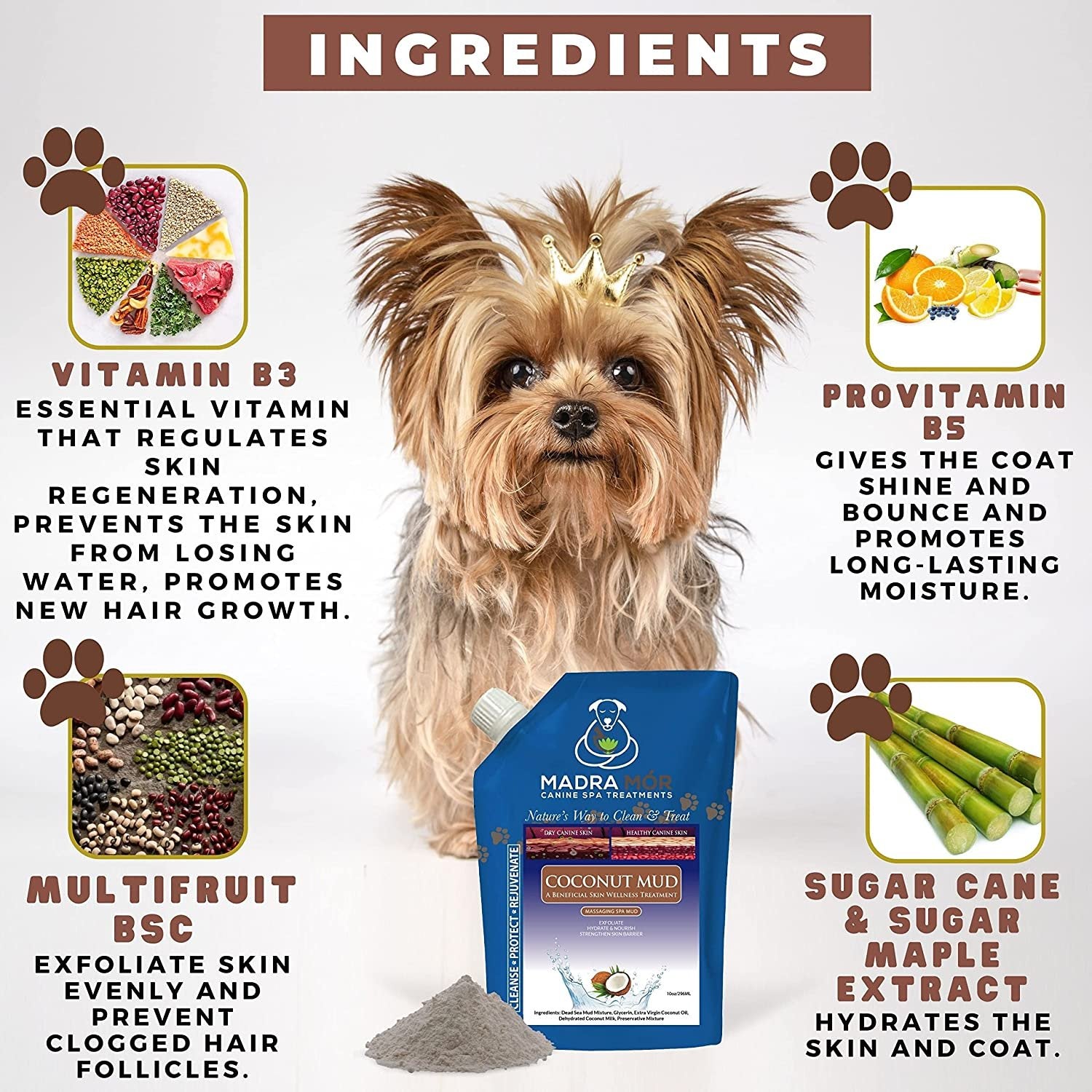 Madra Mor Massaging SPA Mud - Luxurious Dog Skin Wellness Treatment - Cleanse - Protect - Rejuvenate - Coconut Mud - 1 Pack (10oz) - with Multi-Purpose Key Chain