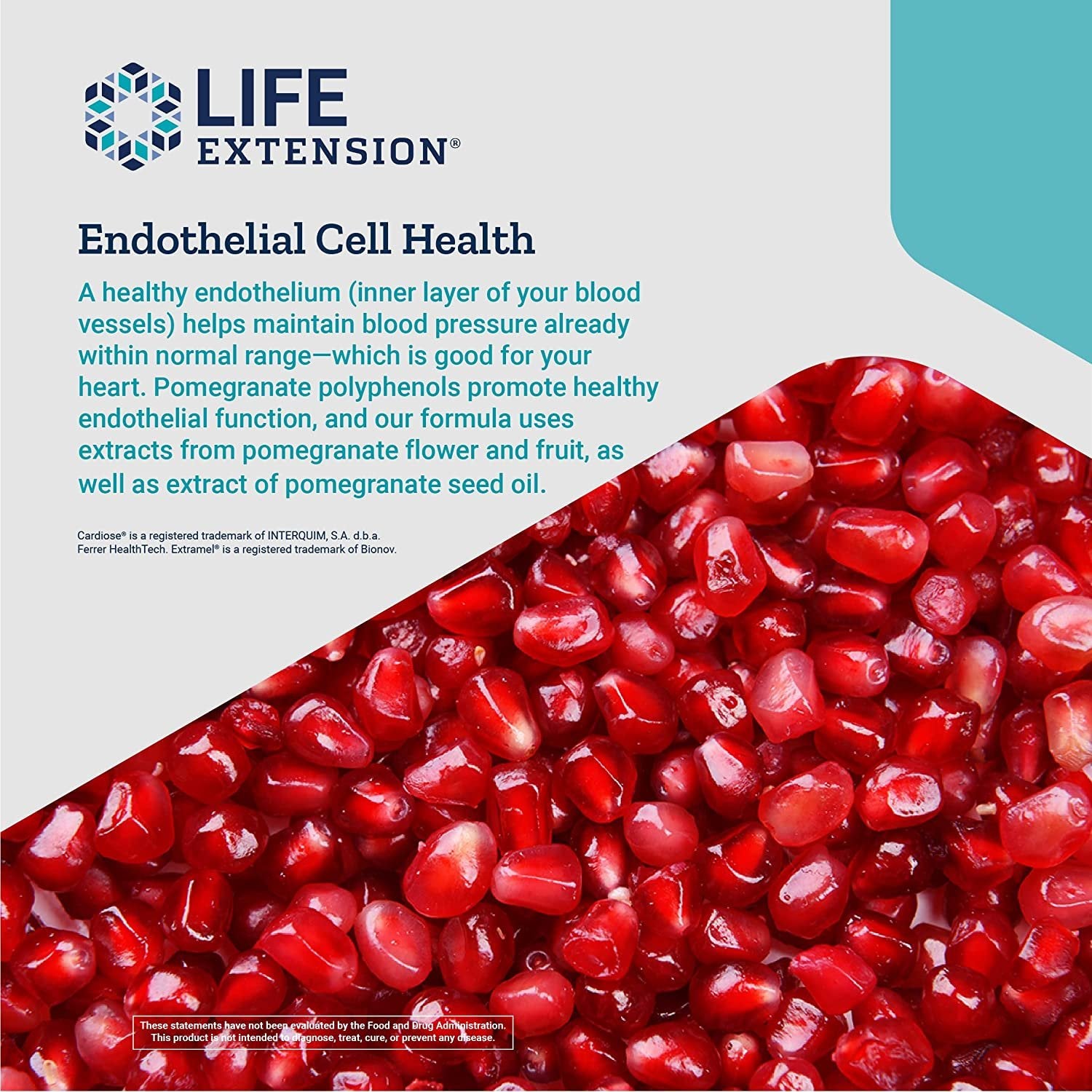 Life Extension Endothelial Defense Pomegranate Plus – Heart Health Support Starts with Your Blood Vessels – Gluten-Free, Non-GMO – 60 Softgels