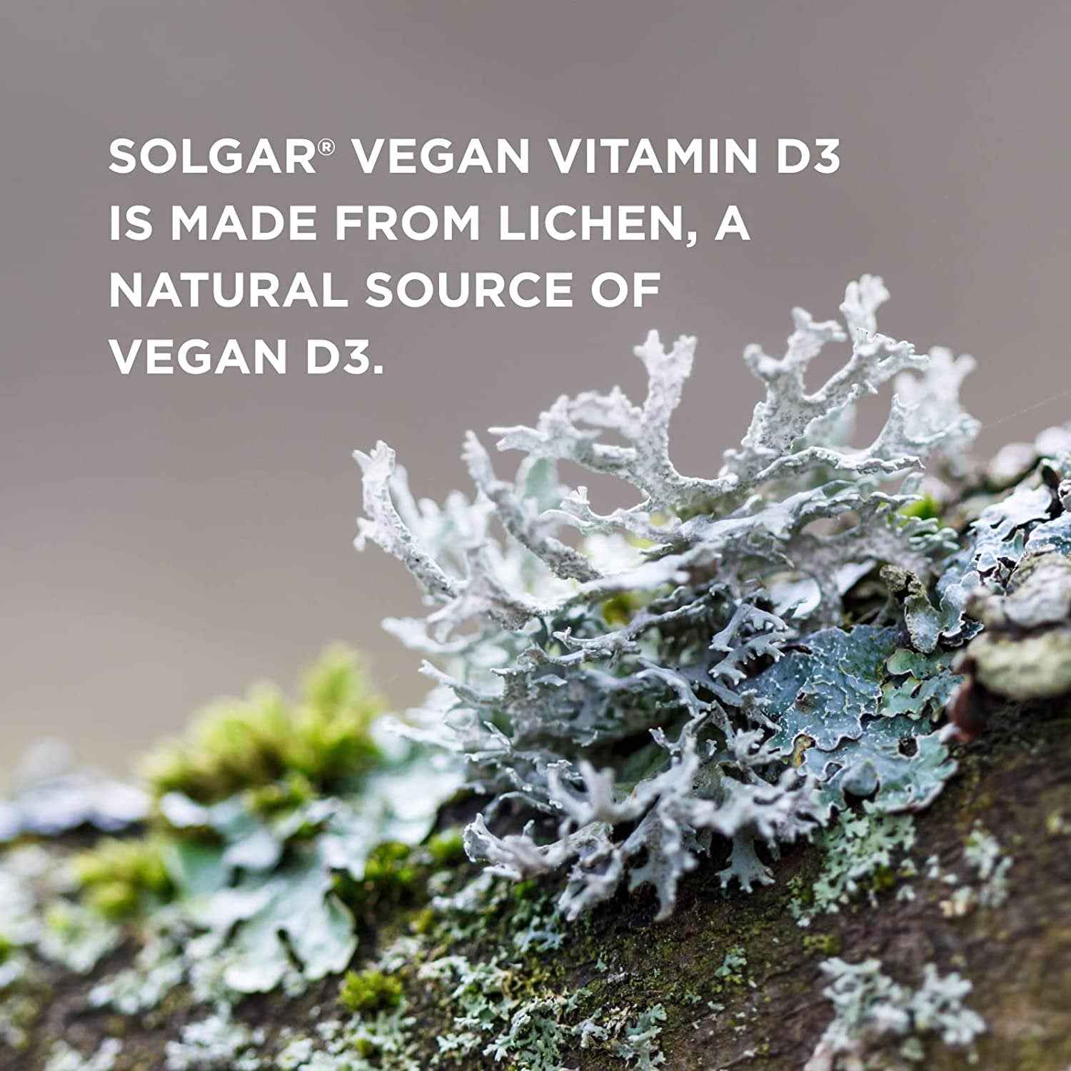 Solgar Vegan Vitamin D3 (Cholecalciferol) 150 mcg (6,000 IU) - 50 Softgels - Immune Support - Helps Maintain Healthy Bones & Teeth - Non-GMO, Certified Vegan, Gluten & Dairy Free - 50 Servings