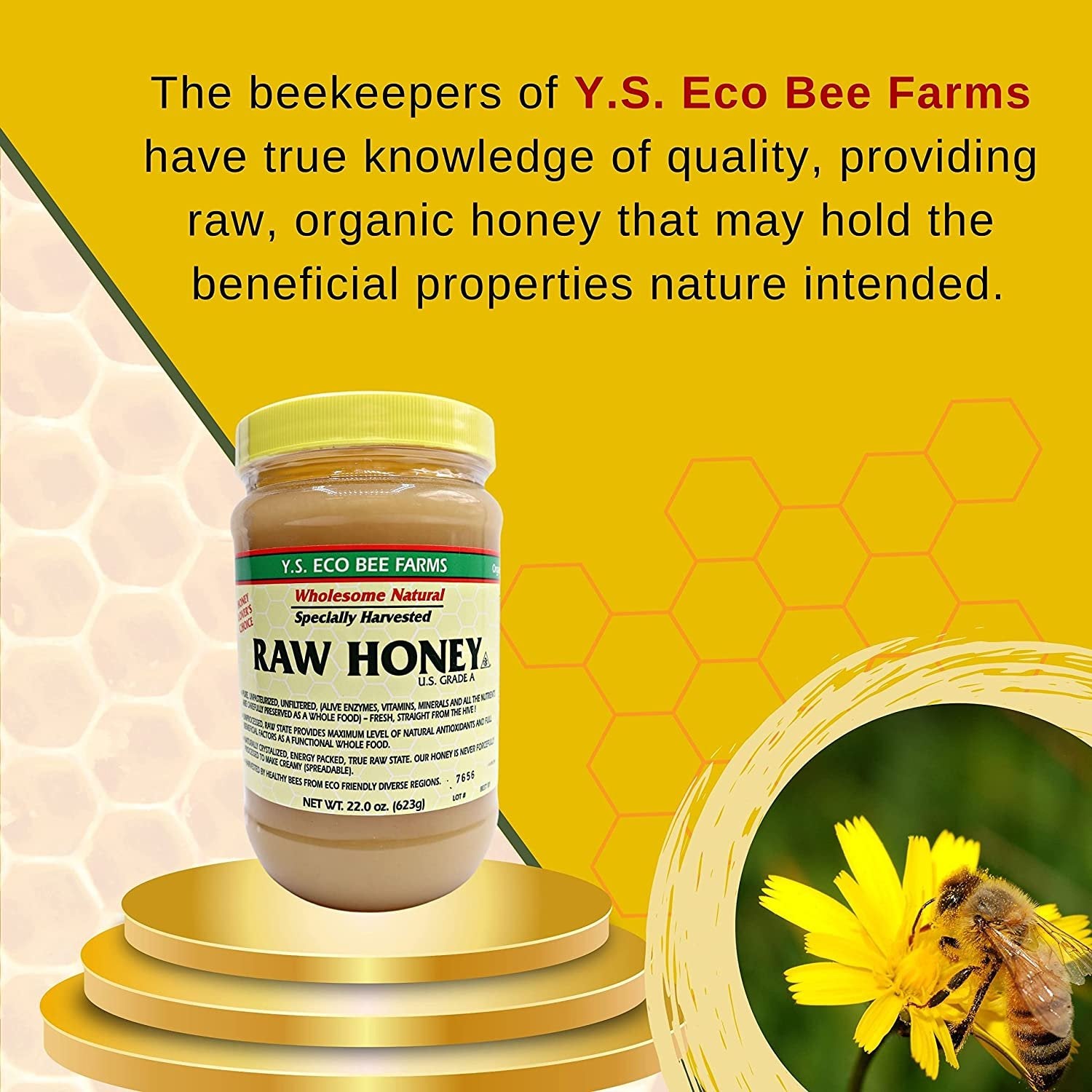 Y.S. Eco Bee Farms, Y.S. Organic Bee Farms, Natural Raw Honey, Unpasteurized, Unfiltered, Fresh Raw State, Kosher, Pure, Natural, Healthy, Safe, Gluten Free, Specially Harvested, 22oz, 1 Count