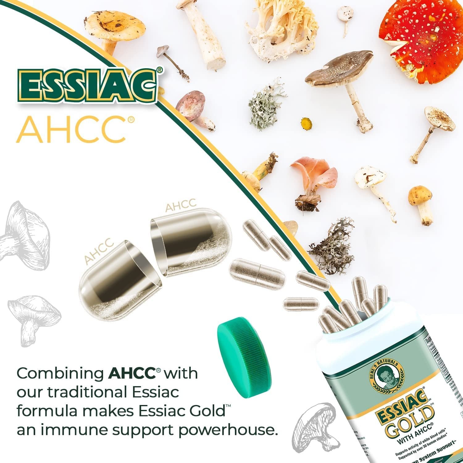 Essiac Gold Extract with AHCC Supplement Mushroom Extract for Enhanced Immune Support – 60 Capsules | Powerful Antioxidant Blend to Help Promote Overall Health & Well-Being