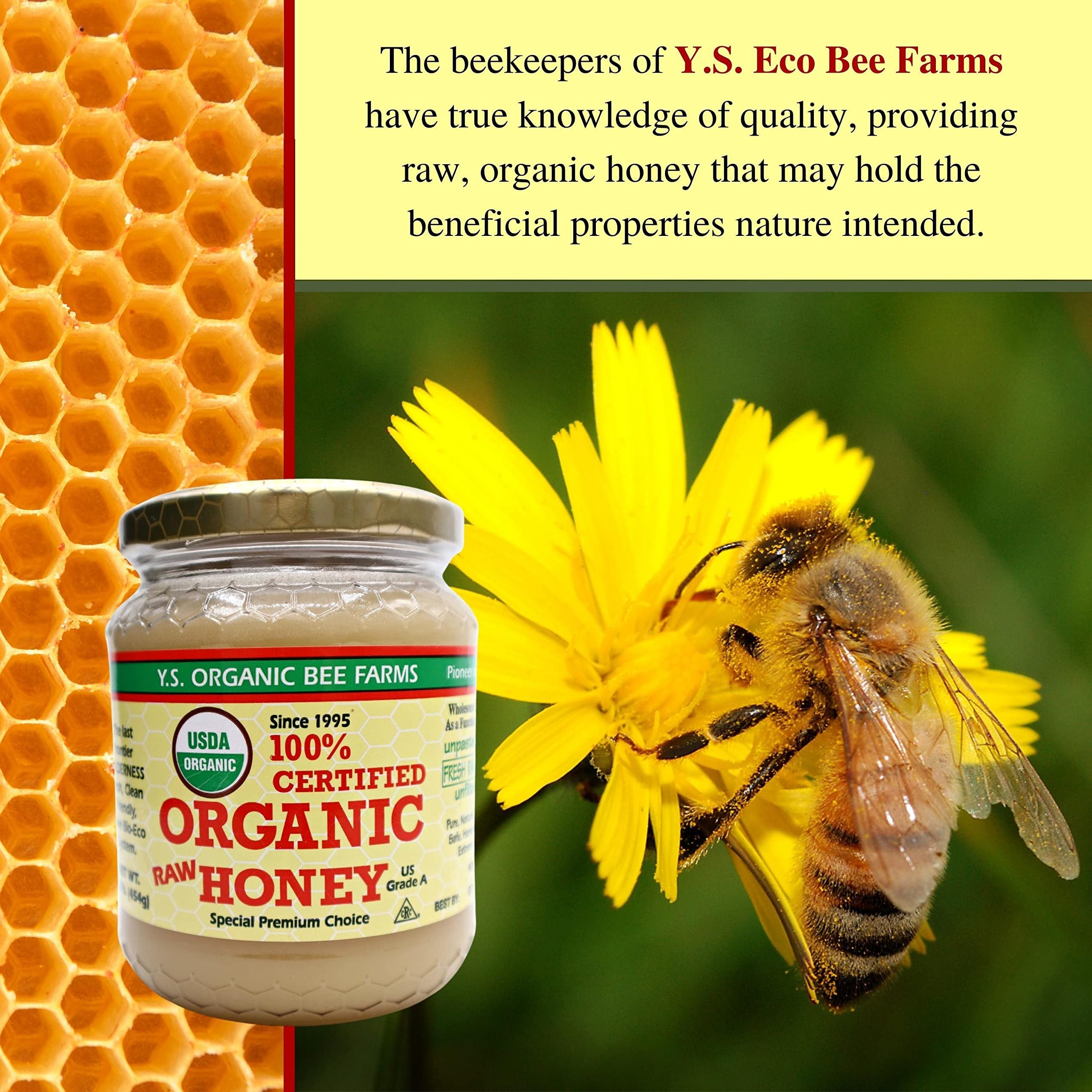 Y.S. Organic Bee Farms 100% Certified Y.S. Organic Raw Honey - Unpasteurized, Unfiltered, Pure Natural Honey - Gluten Free Organic Food and Natural Sweetener - 1 Lb Honey Jar with Bonus Key Chain