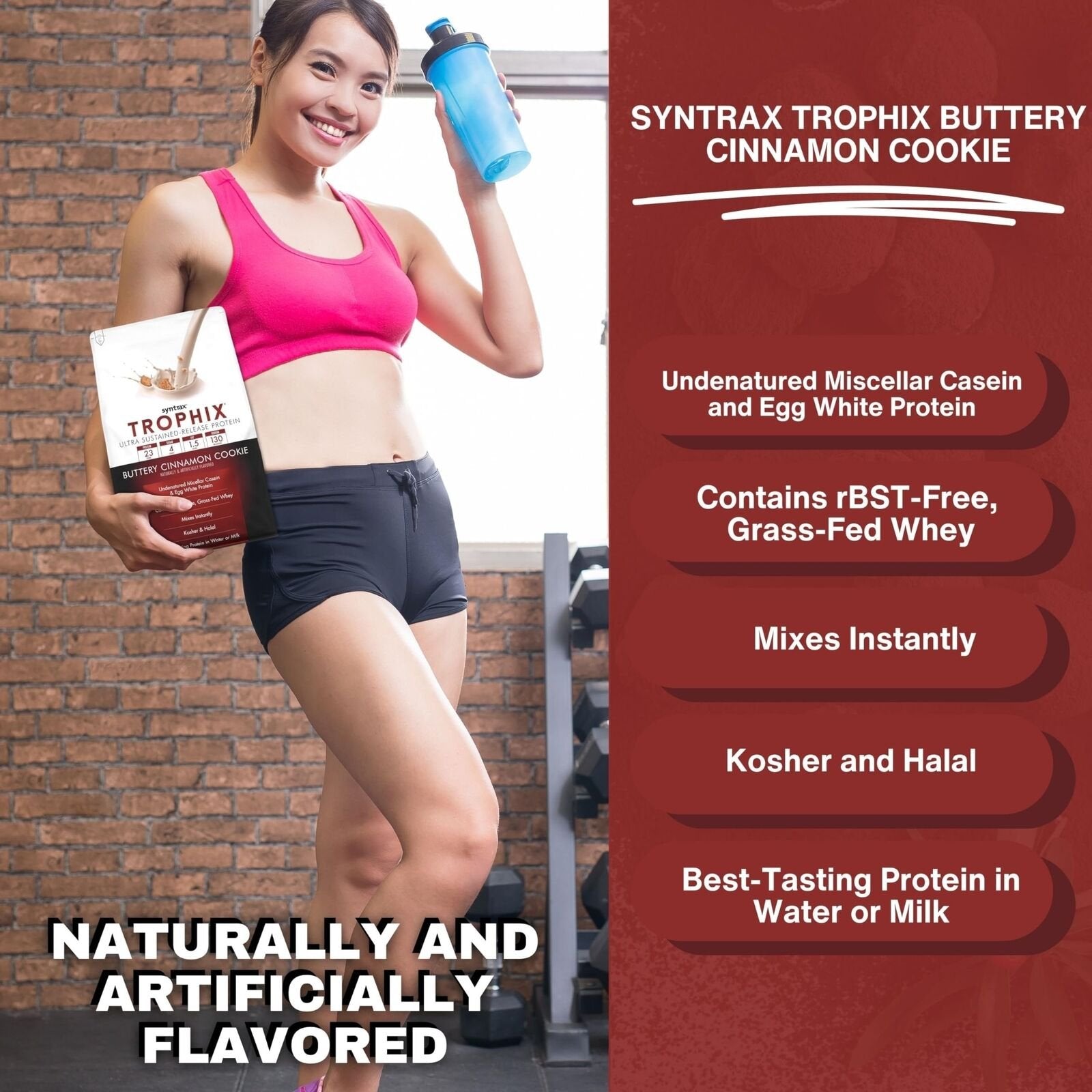 Syntrax Trophix Ultra Sustained - Release Flavored Undernatured Casein Protein Powder - Instant Mix Whey Protein - Pack of 1