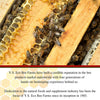 Y.S. Eco Bee Farms Triple Bee Complex Royal Jelly Bee Pollen Propolis Plus Korean Ginseng - Health and Wellness Organic Bee Pollen Supplement - 90 Ct with Worldwide Nutrition Multi Purpose Key Chain