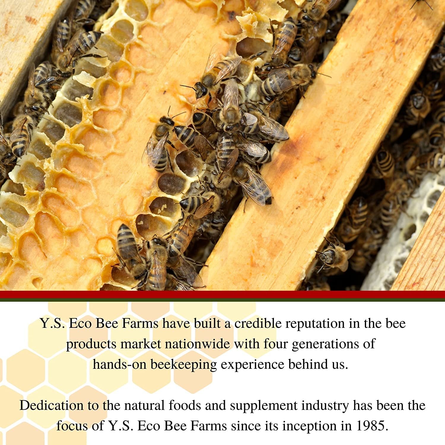 Y.S. Eco Bee Farms Triple Bee Complex Royal Jelly Bee Pollen Propolis Plus Korean Ginseng - Health and Wellness Organic Bee Pollen Supplement - 90 Ct with Worldwide Nutrition Multi Purpose Key Chain