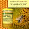 Y.S. Eco Bee Farms, Wholesome Natural Raw Honey, Unpasteurized, Unfiltered, Fresh Raw State, Kosher, Pure, Natural, Healthy, Safe, Gluten Free, Specially Harvested, 3lb - with Bonus Key Chain