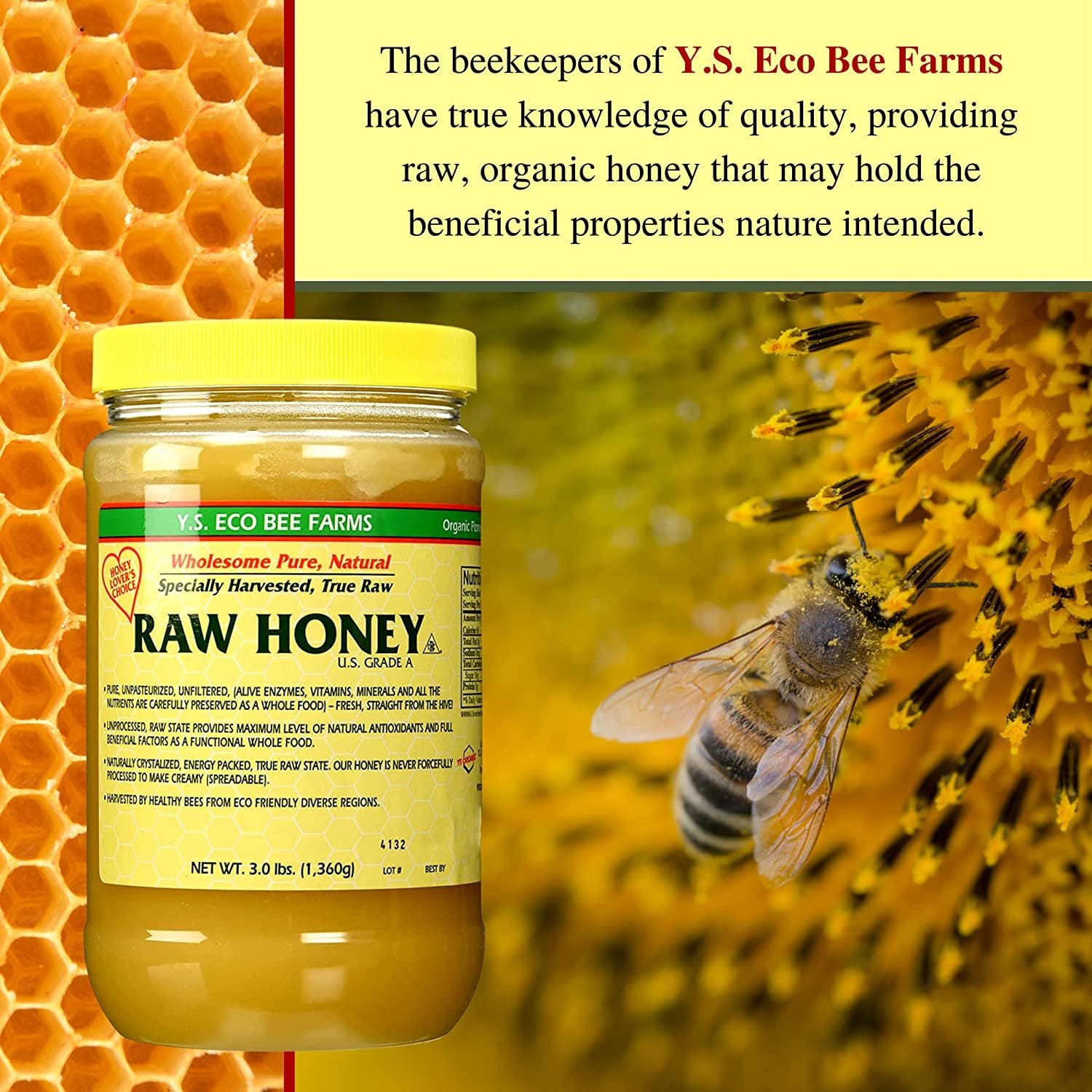 Y.S. Eco Bee Farms, Wholesome Natural Raw Honey, Unpasteurized, Unfiltered, Fresh Raw State, Kosher, Pure, Natural, Healthy, Safe, Gluten Free, Specially Harvested, 3lb - with Bonus Key Chain
