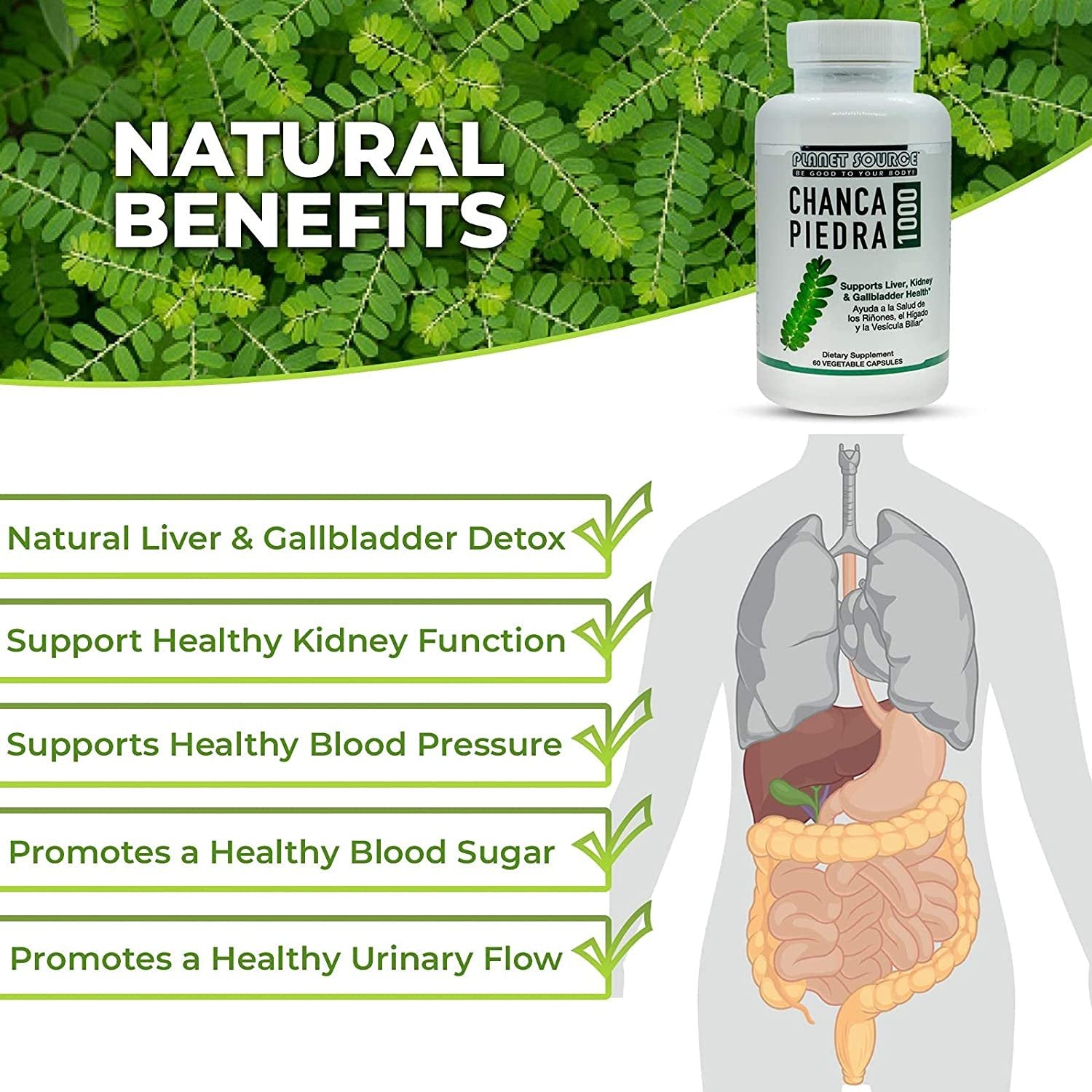 South American Chanca Piedra (Phyllanthus niruri) -Stone Breaker 1000 mg per Serving 4:1 Extract 60 Vegetable Capsules Kidney, Liver & Gallstone Cleanser Urinary Tract Flush