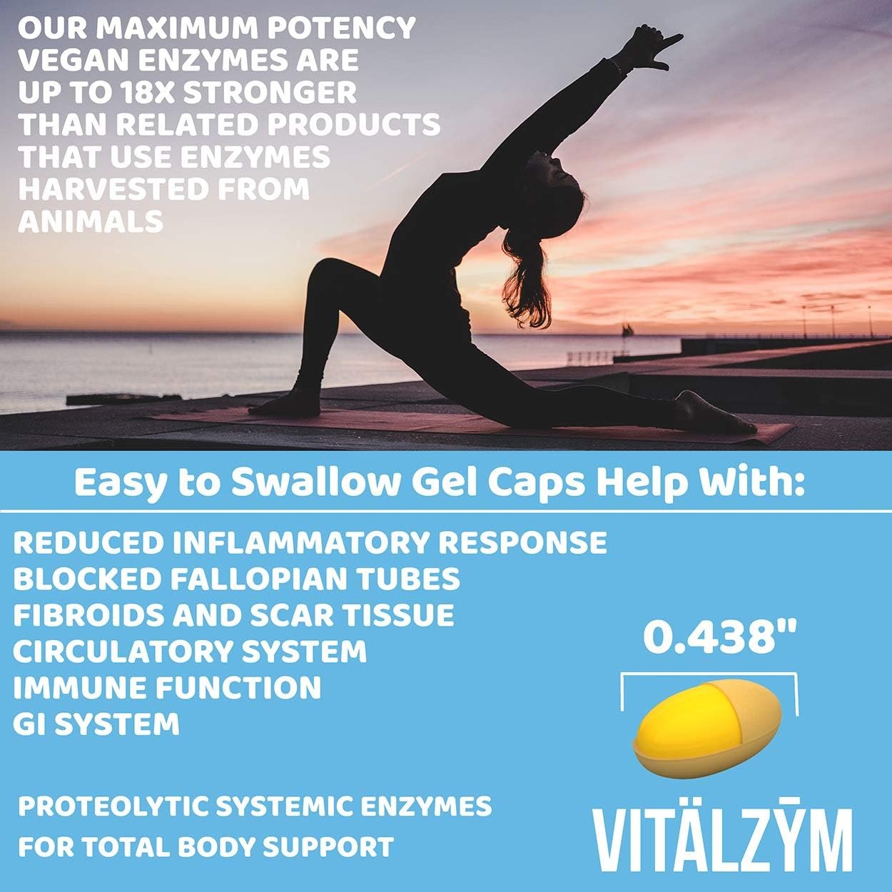 VITÄLZYM Proteolytic Systemic Enzymes Liquid Gel Capsules with Serrapeptase, Immune and Joint Support, Natural Ache Relief Plus Fertility Supplement - Pack of 1