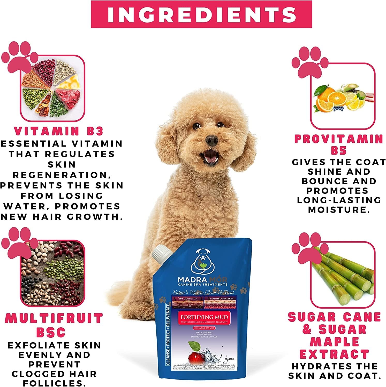 Madra Mor Dog Essentials Fortifying Spa Mud | Dog Wash | Dog Grooming | Dry Skin for Dogs Treatment | Dog Bath | Dog Coat Skin Care Products | 10oz Pouch w Worldwide Nutrition Multi Purpose Key Chain