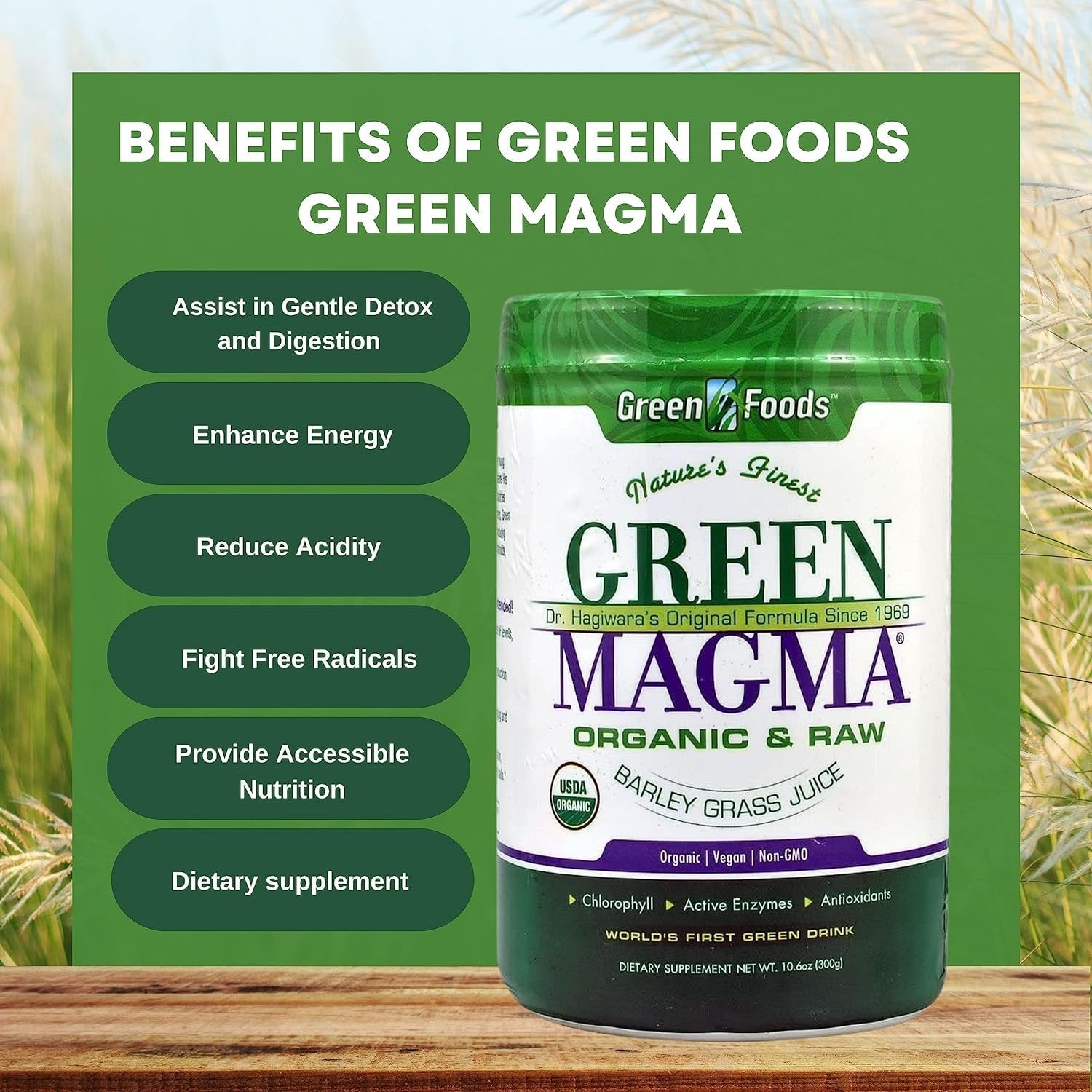 Green Foods Green Magma Organic and Raw - Barley Grass Juice Powder - Digestive Health - 10.6 oz - Pack of 1 with Keychain