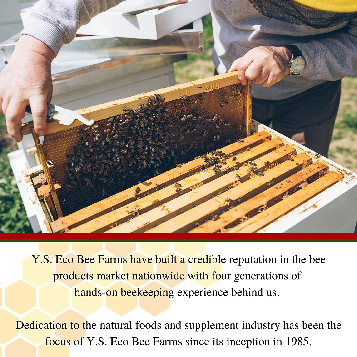 Y.S. Eco Bee Farms, Y.S. Organic Bee Farms, Wholesome Natural Raw Honey, Unpasteurized, Unfiltered, Fresh Raw State, Kosher, Pure, Natural, Healthy, Safe, Gluten Free, Specially Harvested, 3lb