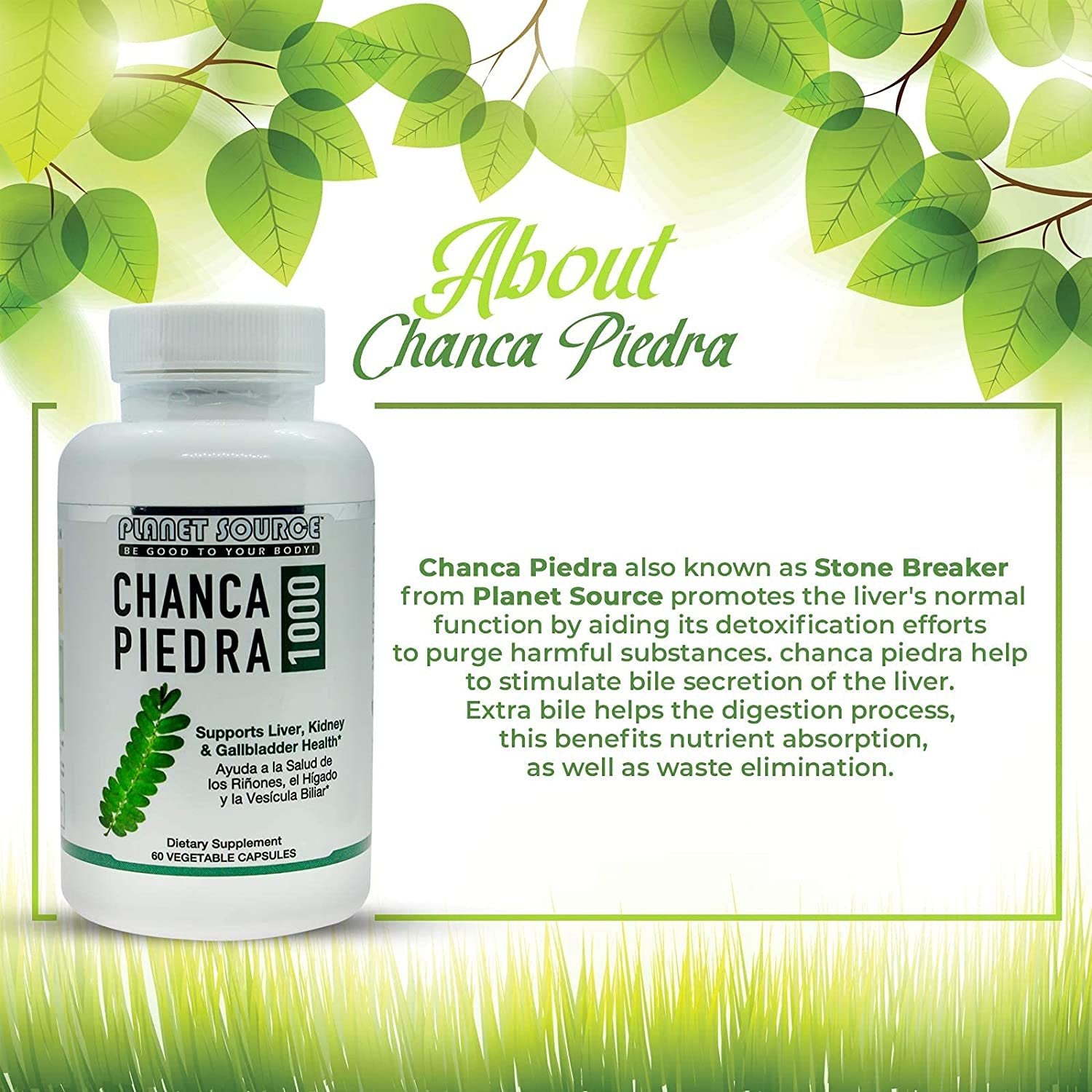 South American Chanca Piedra (Phyllanthus niruri) -Stone Breaker 1000 mg per Serving 4:1 Extract 60 Vegetable Capsules Kidney, Liver & Gallstone Cleanser Urinary Tract Flush