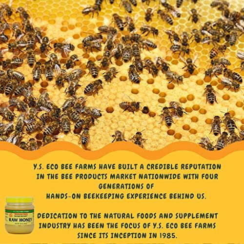 Y.S. Eco Bee Farms, Y.S. Organic Bee Farms, Wholesome Natural Raw Honey, Unpasteurized, Unfiltered, Fresh Raw State, Kosher, Pure, Natural, Healthy, Safe, Gluten Free, Specially Harvested, 14oz