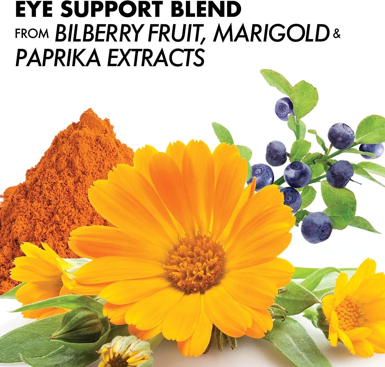 BlueBonnet Eye Antioxidant with Zeaxanthin Formula Vegetarian Capsules, 120 caps